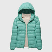Turquoise Hood