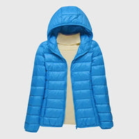 Blue Hood