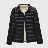 Black Stand Collar